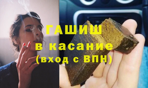 индика Гусев